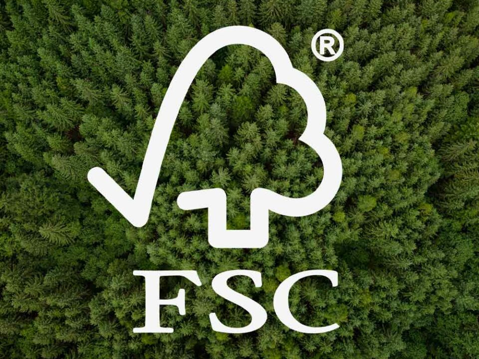 Was ist FSC? Auf dem Bild ist das FSC Logo sowie ein Wald mit der Sicht von Oben zu sehen.