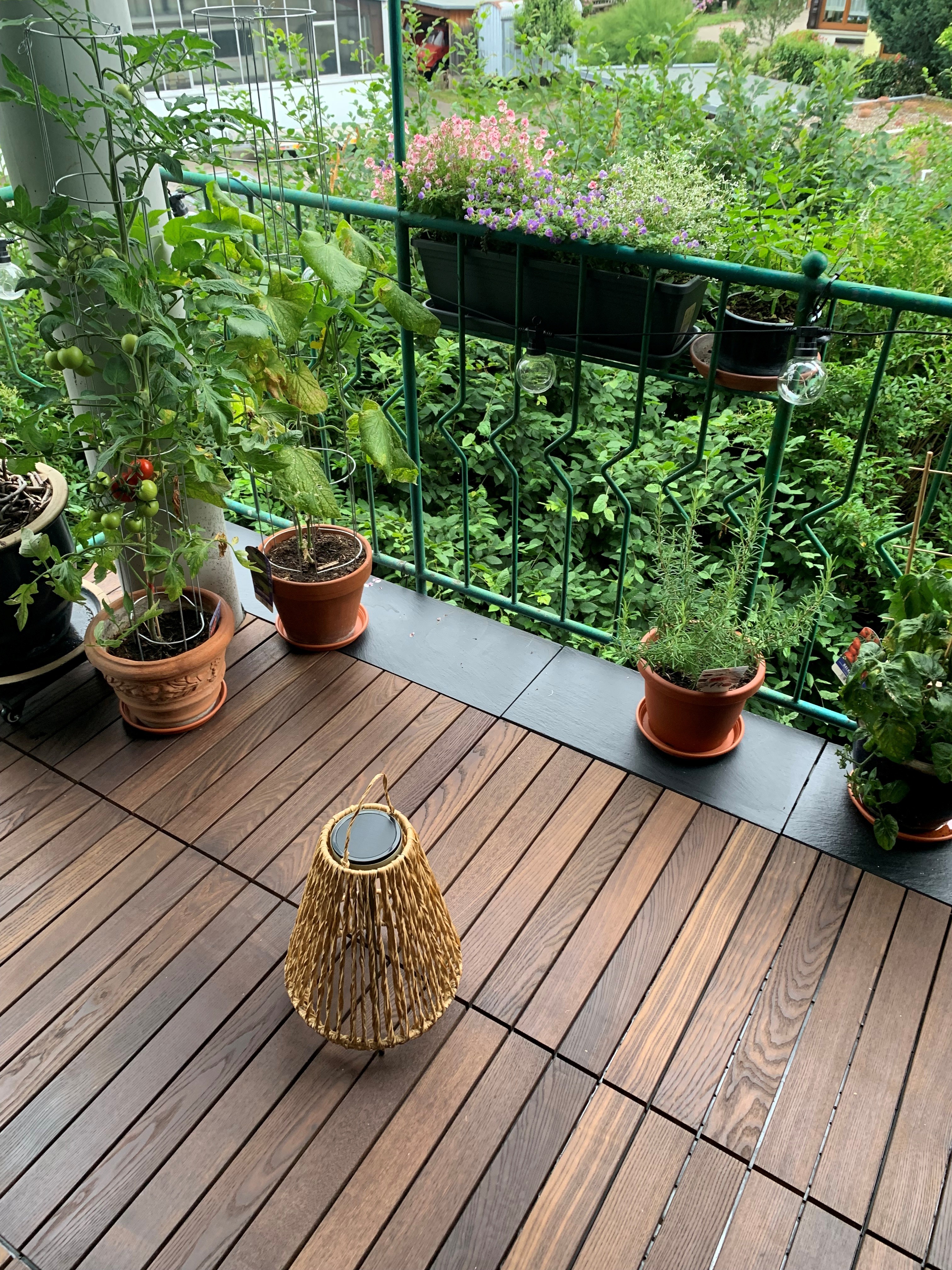 Balkon verschönern mit Klickfliesen: Tomaten, Rosmarin und Laterne auf Thermo-Esche